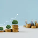 money6x.com earning